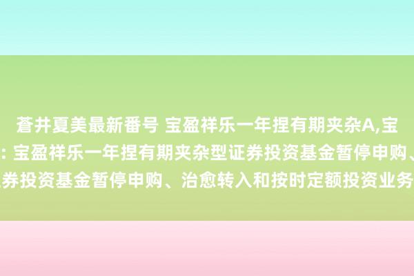 蒼井夏美最新番号 宝盈祥乐一年捏有期夹杂A,宝盈祥乐一年捏有期夹杂C: 宝盈祥乐一年捏有期夹杂型证券投资基金暂停申购、治愈转入和按时定额投资业务的公告