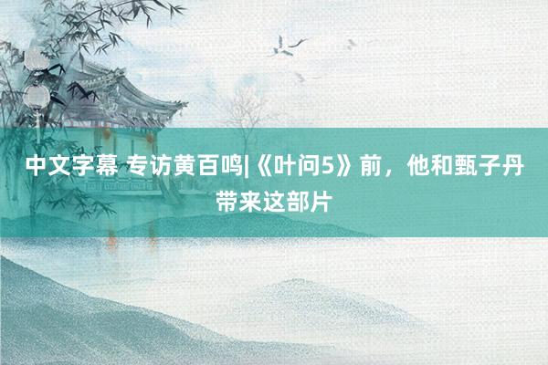 中文字幕 专访黄百鸣|《叶问5》前，他和甄子丹带来这部片