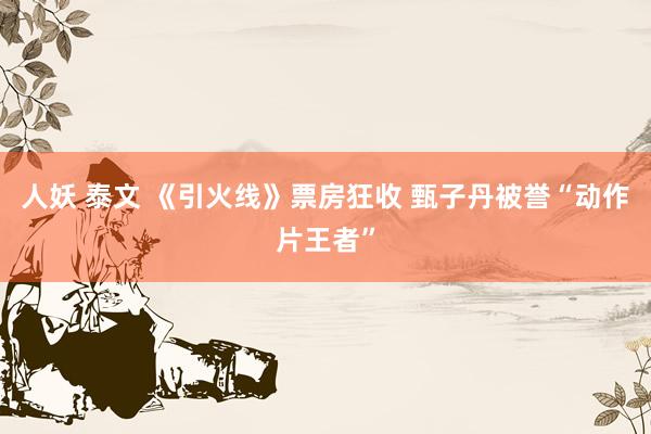 人妖 泰文 《引火线》票房狂收 甄子丹被誉“动作片王者”