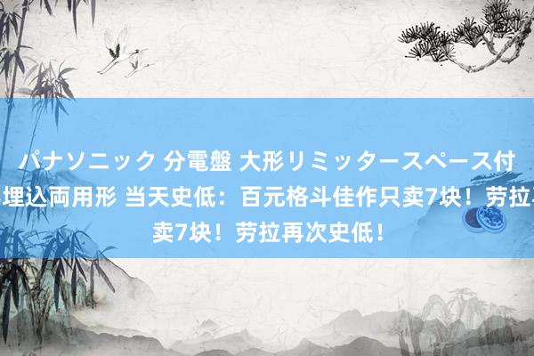 パナソニック 分電盤 大形リミッタースペース付 露出・半埋込両用形 当天史低：百元格斗佳作只卖7块！劳拉再次史低！
