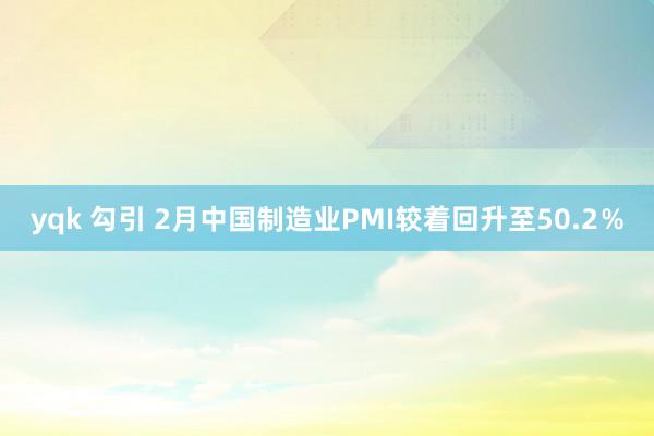 yqk 勾引 2月中国制造业PMI较着回升至50.2％