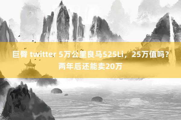 巨臀 twitter 5万公里良马525Li，25万值吗？两年后还能卖20万