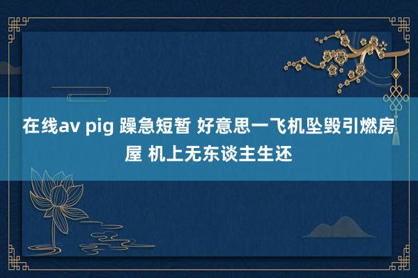 在线av pig 躁急短暂 好意思一飞机坠毁引燃房屋 机上无东谈主生还