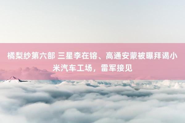 橘梨纱第六部 三星李在镕、高通安蒙被曝拜谒小米汽车工场，雷军接见